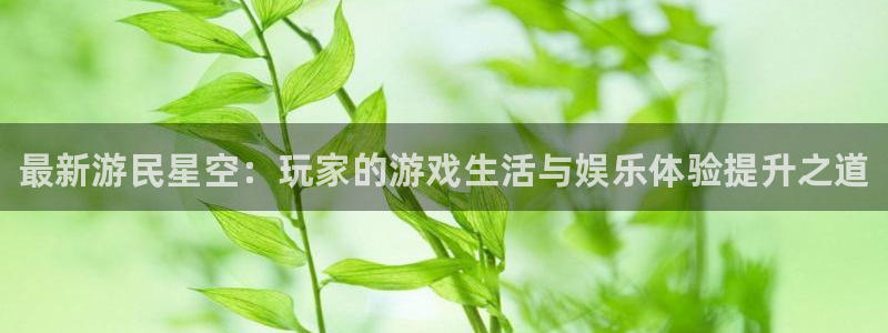 高德娱乐网址官网：最新游民星空：玩家的游戏生活与娱乐体验提升