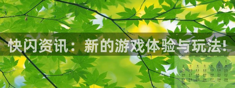 高德娱乐网址注册：快闪资讯：新的游戏体验与玩法!