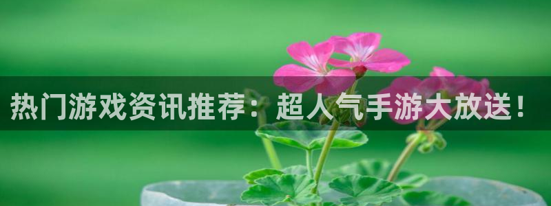 高德娱乐什么意思：热门游戏资讯推荐：超人气手游大放送！