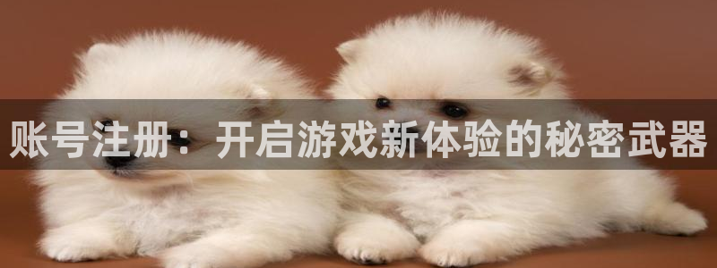 高德娱乐的意思：账号注册：开启游戏新体验的秘密武器