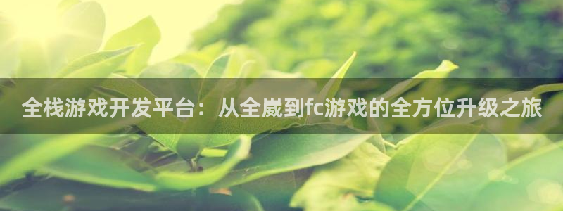高德娱乐平台注册开户：全栈游戏开发平台：从全崴到fc游戏的全