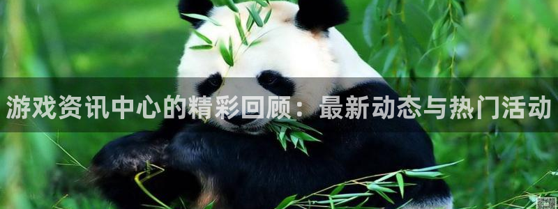 高德娱乐app：游戏资讯中心的精彩回顾：最新动态与热门活动