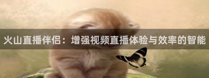 鲸鱼足球体育直播：火山直播伴侣：增强视频直播体验与效率的智能