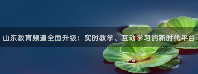 鲸鱼体育app免费下载：山东教育频道全面升级：实时教学、互动学习的新时代平台