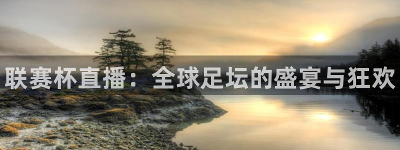 鲸鱼体育直播live：联赛杯直播：全球足坛的盛宴与狂欢