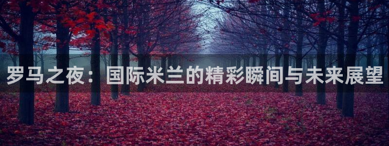 jytv鲸鱼体育直播：罗马之夜：国际米兰的精彩瞬间与未来展望
